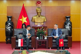 Vietnam, Indonesia hold potential for further economic cooperation: Ambassador