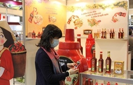 Vietnamese food, farm produce displayed at international exhibition in Japan