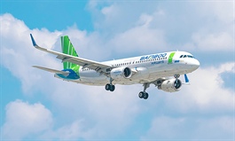 FLC Group’s Bamboo Airways shares drop 12 pct