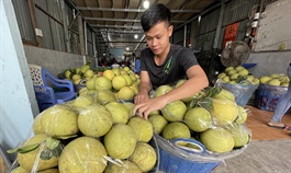 Leverage for Vietnam agricultural products to take off