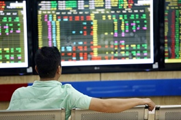 Public firms key to help Vietnam stock market upgrade to emerging status