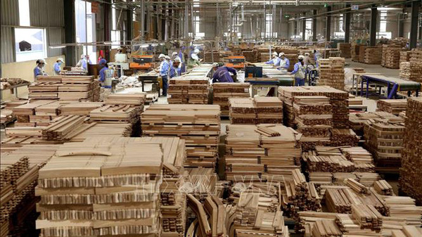Khoảng trống pháp lý trong cung ứng gỗ hợp pháp