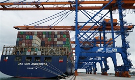 Container shortage compounds Vietnamese exporters’ shipping woes