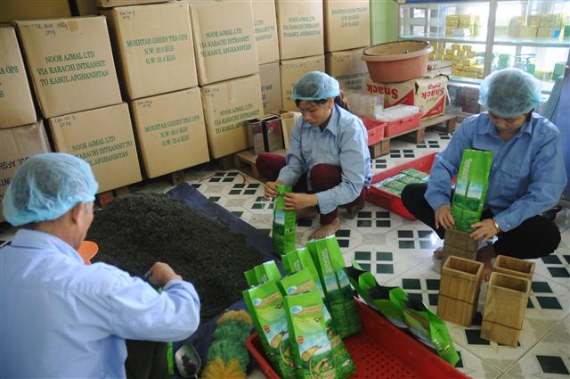 Tea industry prepares to accommodate new consumer trends