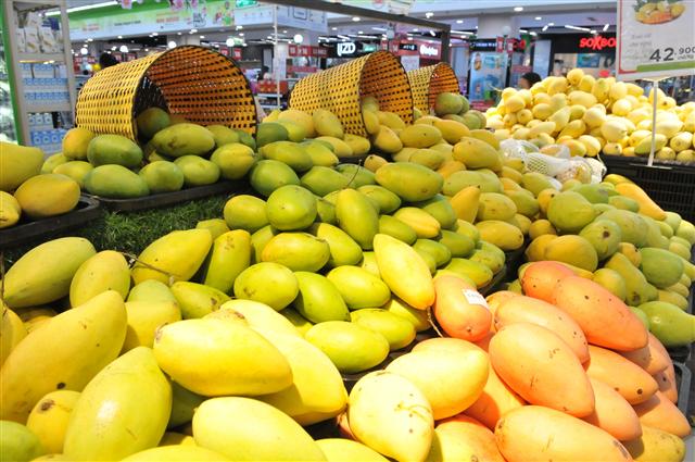 Fruit, vegetable exports expected to thrive this year