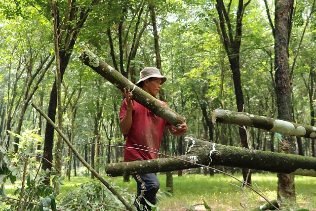 https://image.vietstock.vn/2021/04/16/brr-q1-2021-2_143949.png