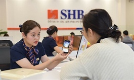 Private lender SHB to sell stake in three units to foreign investors