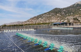 Grobest supports Vietnamese shrimp farmers with Gro-farm technology