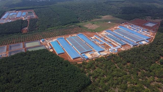 Japfa inaugurates pig farm with 10,000 sows in Binh Phuoc province