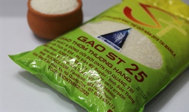 Australian firm seeks patent for Vietnam rice variety