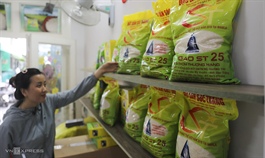 Vietnam files patent litigation for local rice varieties in Australia