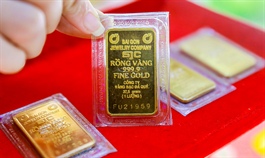 Vietnam largest gold market in Southeast Asia: study