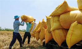 Rice exports cross $1 bln on higher prices