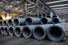 Steel price rise ‘unusual’ amid plentiful supply: construction ministry