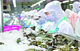 CPTPP boosts Vietnamese exports to Canada, Mexico