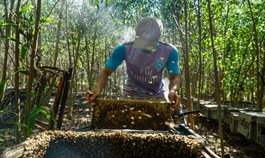 US launches anti-dumping investigation on raw honey