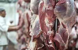 Response scenarios required for increasing meat demand