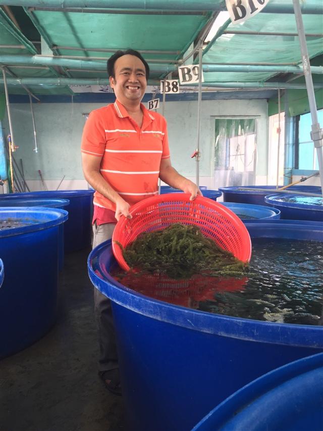 Behind Longevity Sea Grapes: from petroleum to a pathway-driven pioneer in aquaculture