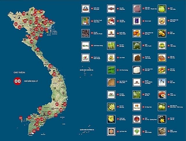 Protecting Vietnamese agricultural brands in the United States through trademarks