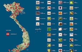 Protecting Vietnamese agricultural brands in the United States through trademarks