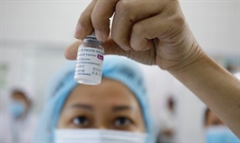 What Vietnam needs to produce Covid vaccines under license