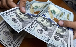 Trade deficit poses little impacts on USD/VND exchange rate: Expert