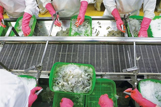 Seafood exports to glide in shallow waters