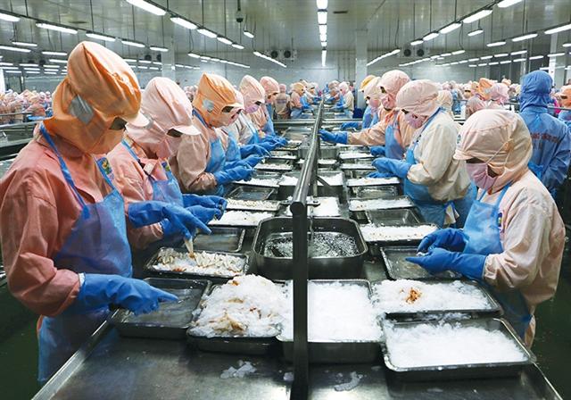 Shrimp leading the charge in seafood sector recovery