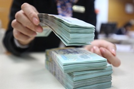 Vietnam Gov’t to borrow US$75 billion