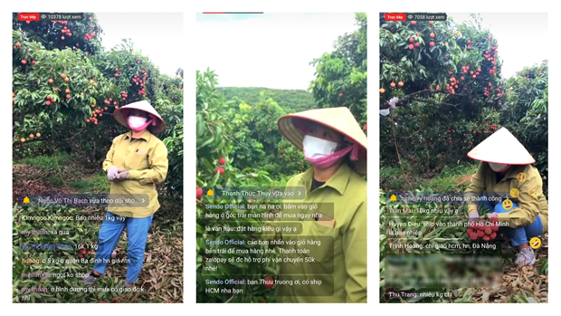 Live streaming in Vietnam growing more popular for agricultural business