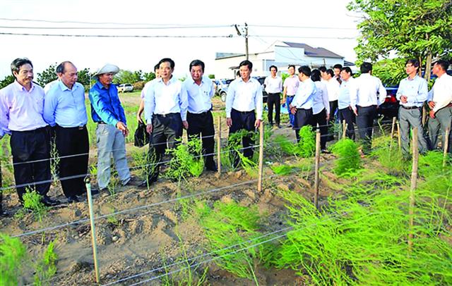 Ninh Phuoc District undergoes major economic changes