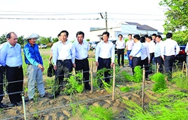 Ninh Phuoc District undergoes major economic changes
