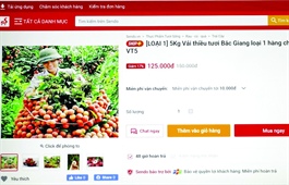 Lychee, longan and other farm produce going strong on digital platforms