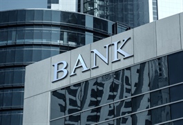 Banking sector eyes growth potential