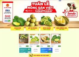 Vietnamese agricultural products sold on e-commerce platform