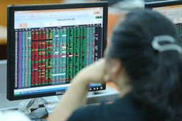 Locals registers all-time high number of securities accounts in H1