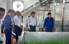 Hai Duong industry promotion prioritizes capital mobilization