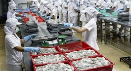 TS4 giải trình thế nào về khoản lỗ hơn 144 tỷ đồng năm 2020?