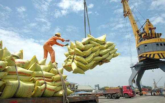 Xuất khẩu gạo sụt giảm mạnh