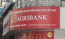 Agribank to sell stake in PVcomBank