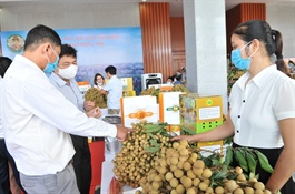 Sale promotion of Vietnamese fresh longan and specialties to int’l consumers