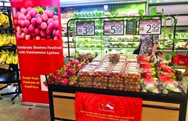 Vietnamese goods increase presence on foreign supermarket shelves