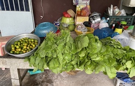 People source homegrown vegetables from provinces to resell amid HCMC shortages