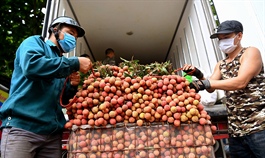 Nearly 8,000 Vietnamese farmers take to online sales