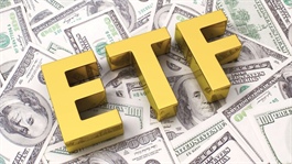 Investors turn to ETFs to limit risks