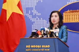 Vietnamese Gov’t maintains constructive dialogue with US over economic relations