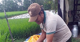 Farmers ‘cry’ over spilled milk in southern Vietnam