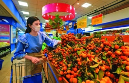 Traceability stamp adds value to Vietnamese produce exports