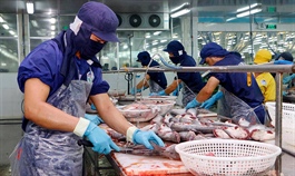 Seafood firms net big catch from export recovery