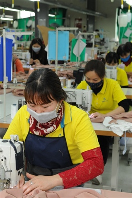 Binh Duong strives to increase local content of products